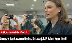 Serenay Sarıkaya'nın İfadesi Ortaya Çıktı! Bakın Neler Dedi