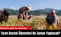 Tarım Destek Ödemeleri Ne Zaman Yapılacak? Çiftçilerin gözü bu haberde...