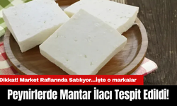 Dikkat! Market Raflarında Satılıyor...Peynirlerde Mantar İlacı Tespit Edildi!