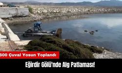 Eğirdir Gölü'nde Alg Patlaması! 600 Çuval Yosun Toplandı