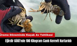 Eğirdir Gölü'nde Kaçak Kerevit Avı Bitmiyor! 100 Kilogram Canlı Kerevit Kurtarıldı