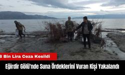 Eğirdir Gölü'nde Suna Ördeklerini Vuran Kişi Yakalandı