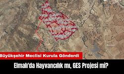 Elmalı'da Hayvancılık mı, GES Projesi mi? Son Kararı Kurul Verecek