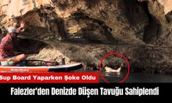 Falezler'de Sup Board Yaparken Denizde Bulduğu Tavuğu Sahiplendi