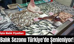 Balık Sezonu Türkiye'de Şenleniyor! İşte Balık Fiyatları