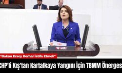 CHP'li Kış'tan Kartalkaya Yangını İçin TBMM Önergesi