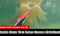 İstanbul’da Denizin Altında Yürek Burkan Manzara Görüntülendi!