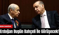 Erdoğan Bugün Bahçeli İle Görüşecek!