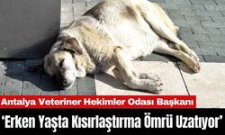 Antalya Veteriner Hekimler Odası Başkanı Kısırlaştırmanın Faydalarını Anlattı