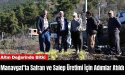 Manavgat’ta Safran ve Salep Üretimi İçin Adımlar Atıldı