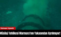 Müsilaj Tehlikesi Marmara’nın Yakasından Ayrılmıyor! Uzmanı Uyardı