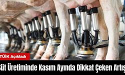 Süt Üretiminde Kasım Ayında Dikkat Çeken Artış