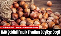 TMO Çekildi Fındık Fiyatları Düşüşe Geçti