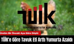 TÜİK'e Göre Tavuk Eti Arttı Yumurta Azaldı