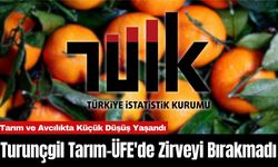 Turunçgil Tarım-ÜFE'de Zirveyi Bırakmadı