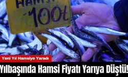 Yılbaşında Hamsi Fiyatı Yarıya Düştü! Yeni Yıl Hamsiye Yaradı