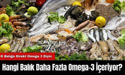 Hangi Balık Daha Fazla Omega-3 İçeriyor?