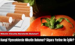 Hangi Yiyeceklerde Nikotin Bulunur? Sigara Yerine Ne İçilir?