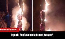 Isparta Senitalanı'nda Orman Yangını! Yıldırım İddiası