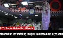 Karadeniz'de Dev Minekop Balığı 10 Dakikada 6 Bin TL'ye Satıldı