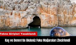 Kaş ve Demre'de Akdeniz Foku Mağaraları Zincirlendi