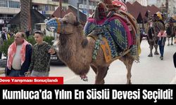 Kumluca’da Yılın En Süslü Devesi Seçildi!