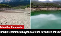 Kuraklık Tehdidindeki Doyran Göleti'nde Sevindiren Gelişme