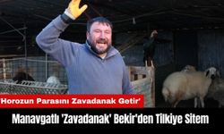 Manavgatlı 'Zavadanak' Bekir'den Horozunu Kapan Tilkiye Sitem!