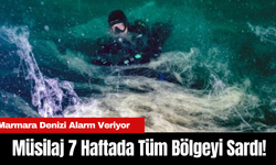 Marmara Denizi Alarm Veriyor: Müsilaj 7 Haftada Tüm Bölgeyi Sardı!