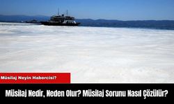 Müsilaj Nedir, Neden Olur? Müsilaj Sorunu Nasıl Çözülür?