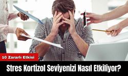 Stres Kortizol Seviyenizi Nasıl Etkiliyor?