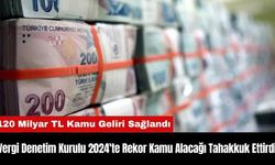 Vergi Denetim Kurulu 2024'te Rekor Kamu Alacağı Tahakkuk Ettirdi