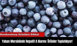 Yaban Mersininde Hepatit A Alarmı: Ürünler Toplatılıyor!