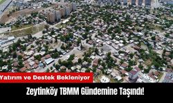 Zeytinköy TBMM Gündemine Taşındı! Yatırım ve Destek Bekleniyor