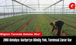 ZMO Antalya: Suriye'ye Dönüş Yok Tarımsal Zarar Var