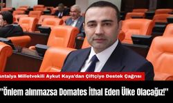 CHP Antalya Milletvekili Aykut Kaya "Önlem alınmazsa Domates İthal Eden Ülke Olacağız!"