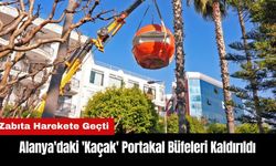 Alanya'daki 'Kaçak' Portakal Büfeleri Kaldırıldı