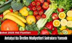 Antalya Hal Fiyatları: Üretim Maliyetleri Sofralara Yansıdı