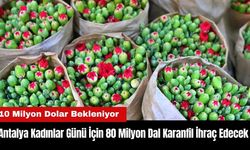 Antalya Kadınlar Günü İçin 80 Milyon Dal Karanfil İhraç Edecek