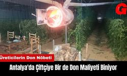 Antalya'da Çiftçiye Bir de Don Maliyeti Biniyor