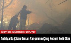 Antalya'da Çıkan Orman Yangınının Çıkış Nedeni Belli Oldu