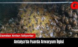 Antalya'da Fuarda Arıvaryum İlgisi