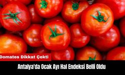 Antalya'da Ocak Ayı Hal Endeksi Belli Oldu