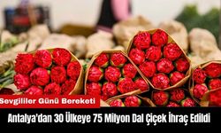 Antalya'dan 30 Ülkeye 75 Milyon Dal Çiçek İhraç Edildi