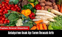 Antalya'nın Ocak Ayı Tarım İhracatı Arttı