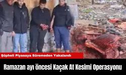 Ramazan ayı öncesi Kaçak At Kesimi Operasyonu: 4 Şüpheli Piyasaya Süremeden Yakalandı