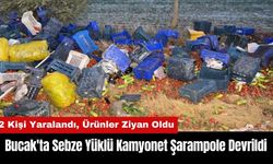 Bucak'ta Sebze Yüklü Kamyonet Şarampole Devrildi!