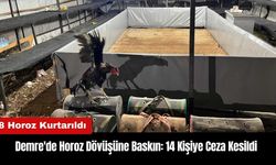 Demre'de Horoz Dövüşüne Baskın: 14 Kişiye Ceza Kesildi