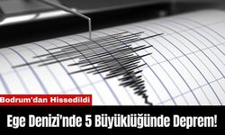 Ege Denizi'nde 5 Büyüklüğünde Deprem! Bodrum'dan Hissedildi