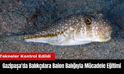 Gazipaşa'da Balıkçılara Balon Balığıyla Mücadele Eğitimi